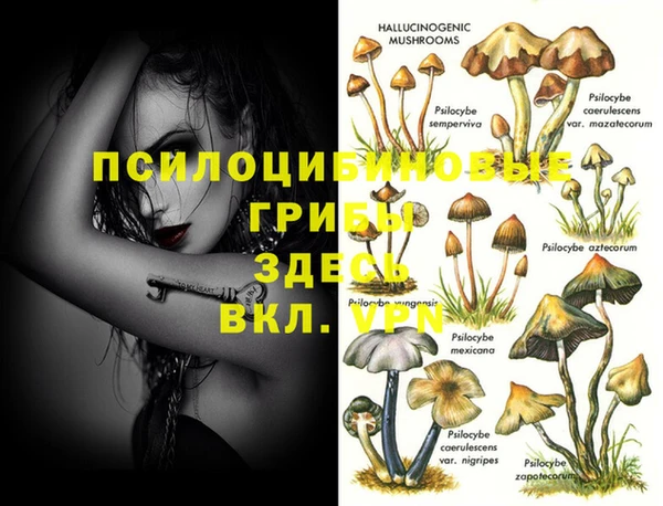 ECSTASY Балабаново