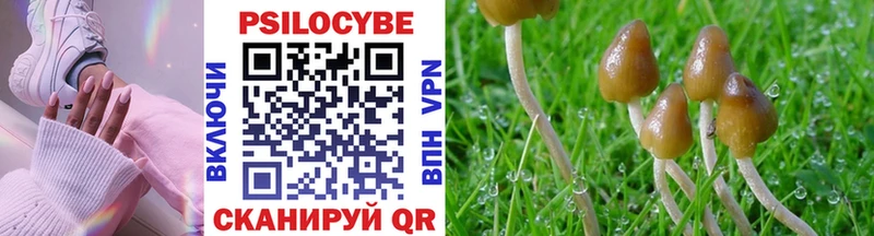 Псилоцибиновые грибы MAGIC MUSHROOMS Макаров